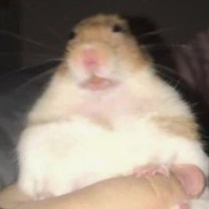 Meet your Posher, Angie